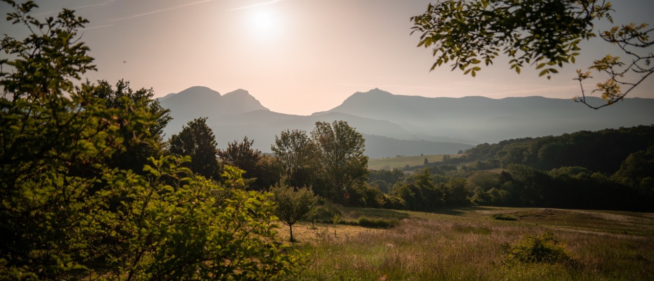 17-vue depuis roulotte.jpg